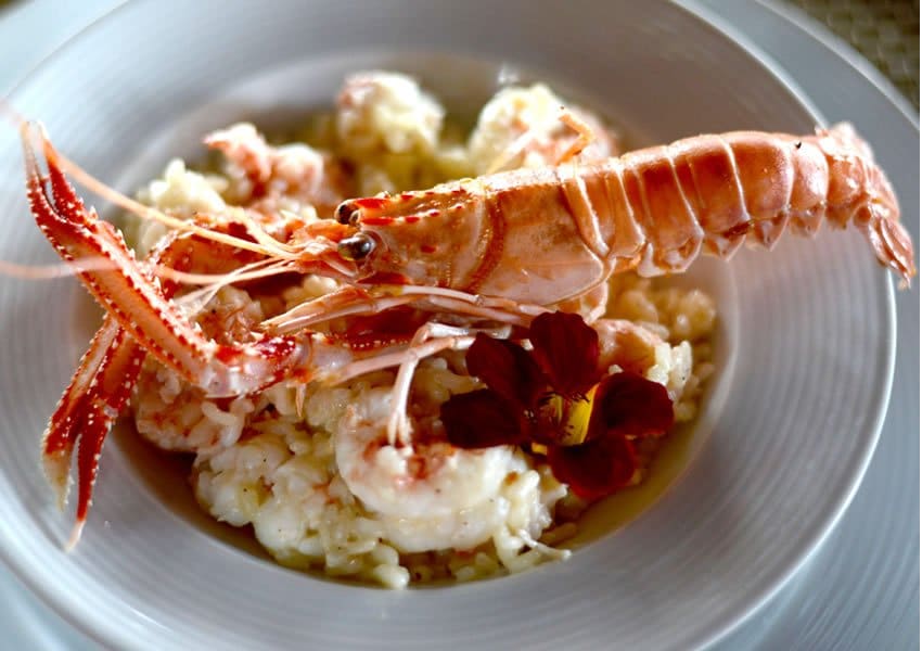 Onde comer peixes e frutos do mar neste verão