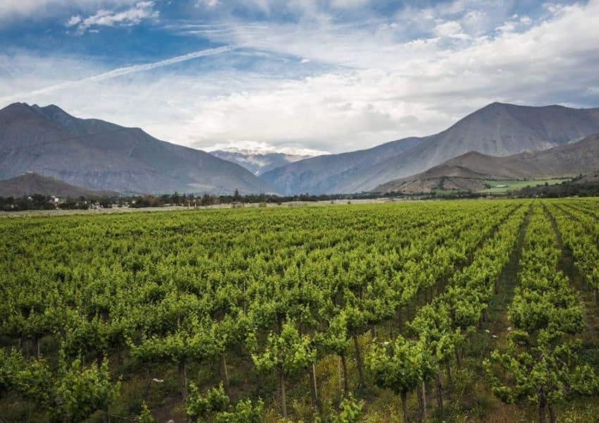 Degustação Viña Tibali Del Maipo no Dom Francisco é Cancelada