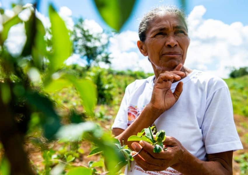 Culinária tradicional e rural sergipana é retratada em livro que resgata alimentos esquecidos e histórias de quem preserva essas comidas