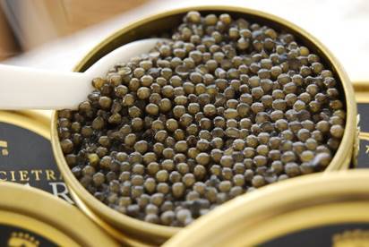O caviar Oscietra