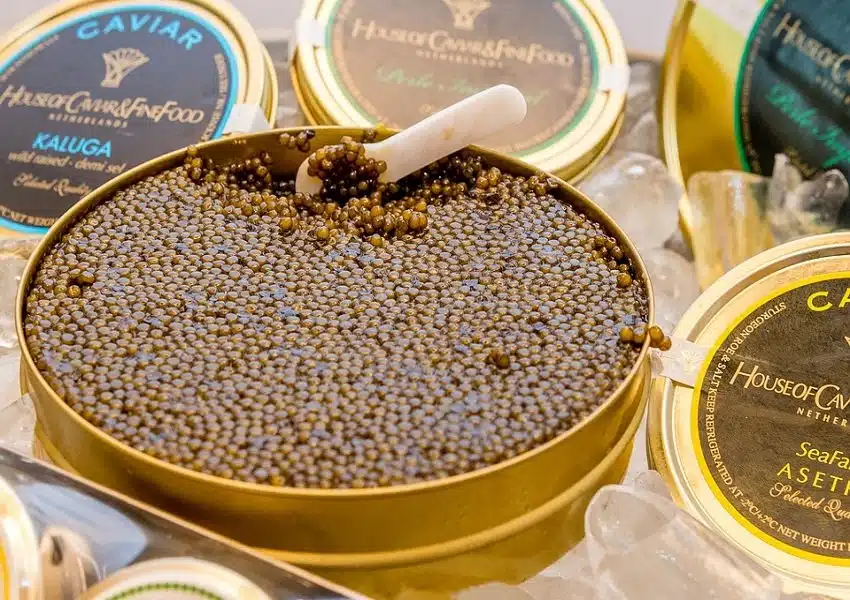 caviar