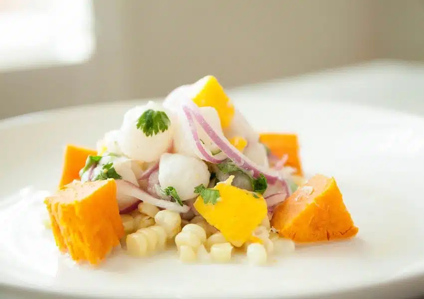 ceviche brasilia gastronomia