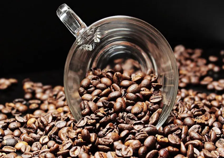 Octavio Café ensina diferentes métodos de preparo de café