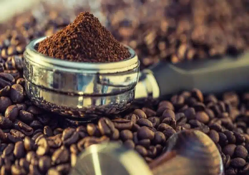 Conversa com Ensei Neto, especialista em café