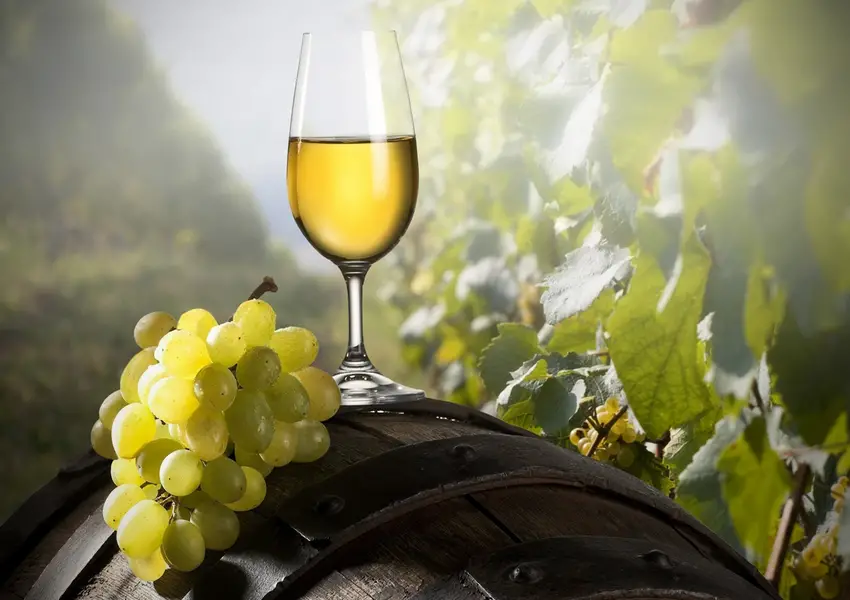 Vinho Verde: a nova sensação da vinicultura