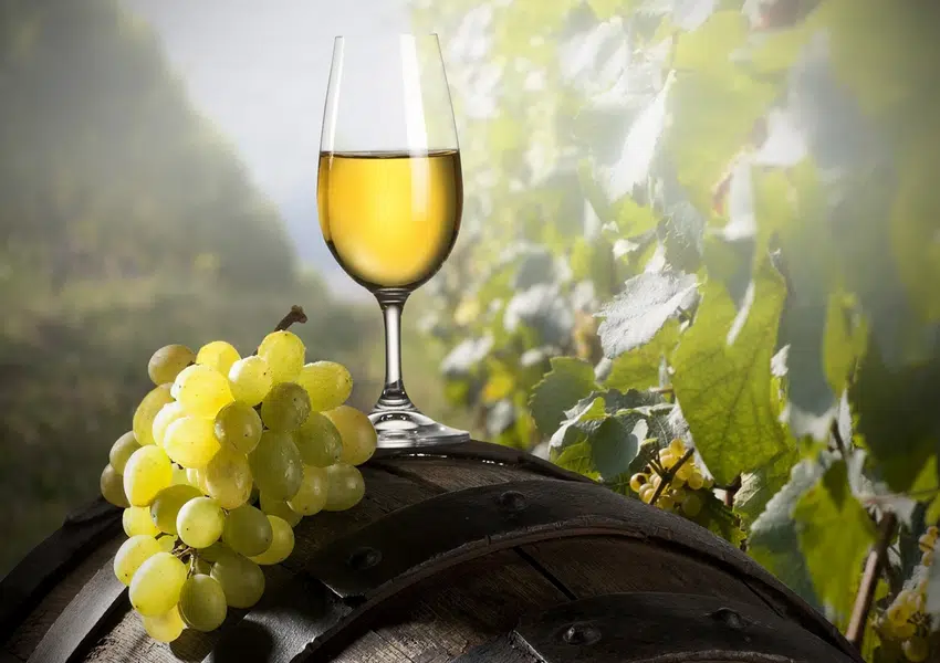 vinho verde 2