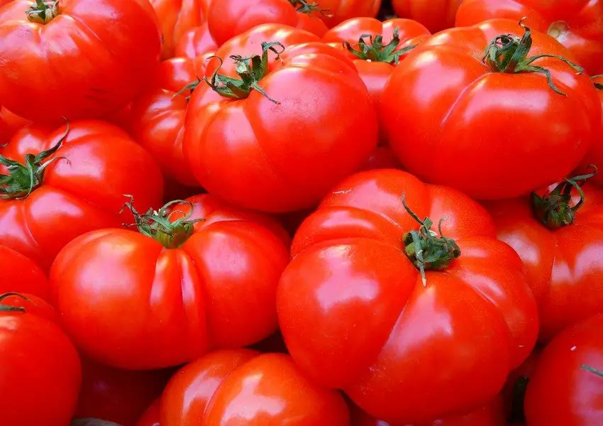 Conheça os benefícios do tomate