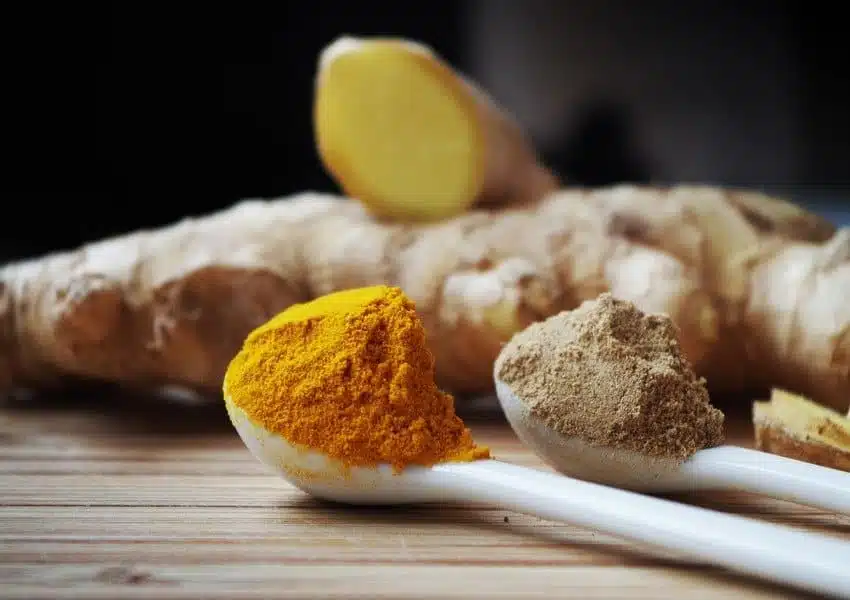 curcuma 1