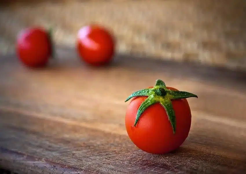 tomato 1205699 960 720