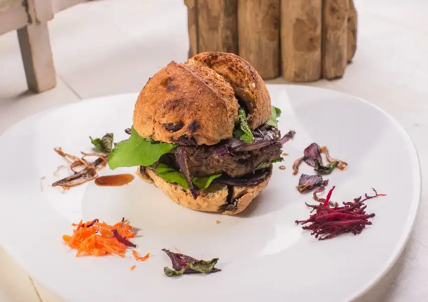 Bhumi Veggie Burguer de Berinjela Foto JuniorGrua 1
