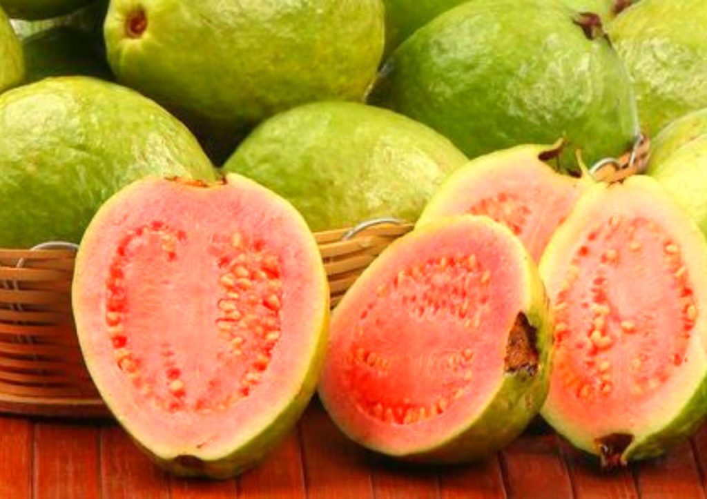 10 motivos para consumir goiaba vermelha Fruta em natura, polpa e goiabada reúnem nutrientes muito importantes para nosso organismo