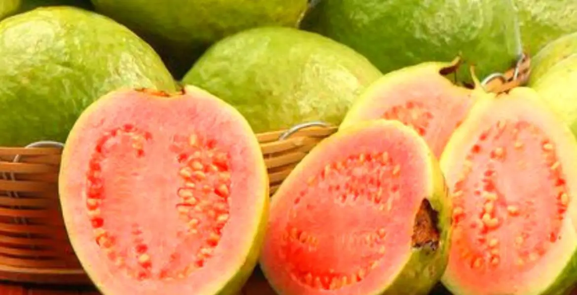10 motivos para consumir goiaba vermelha Fruta em natura, polpa e goiabada reúnem nutrientes muito importantes para nosso organismo