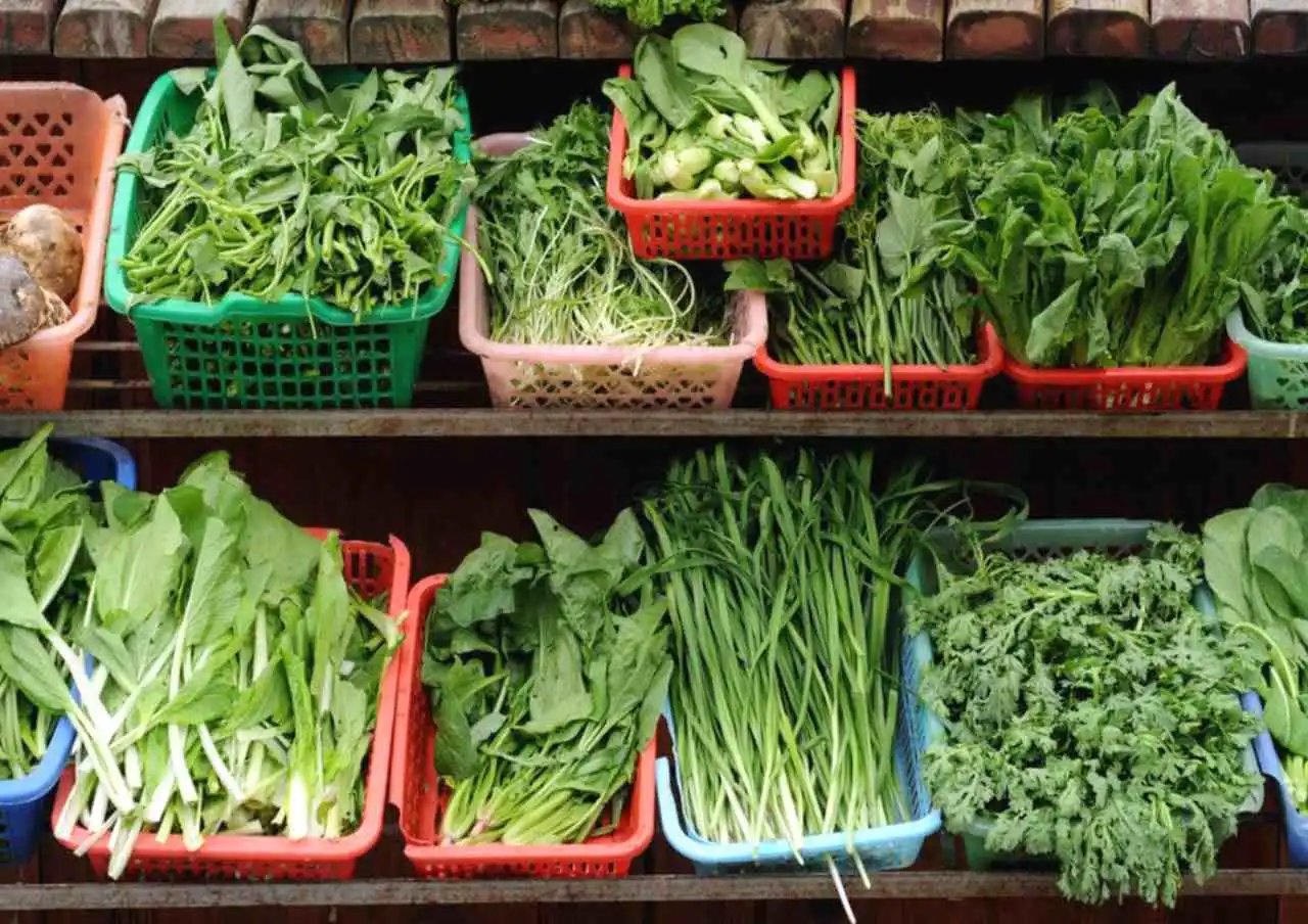 Vegetais frescos branqueados prontos para conservar no freezer por mais tempo