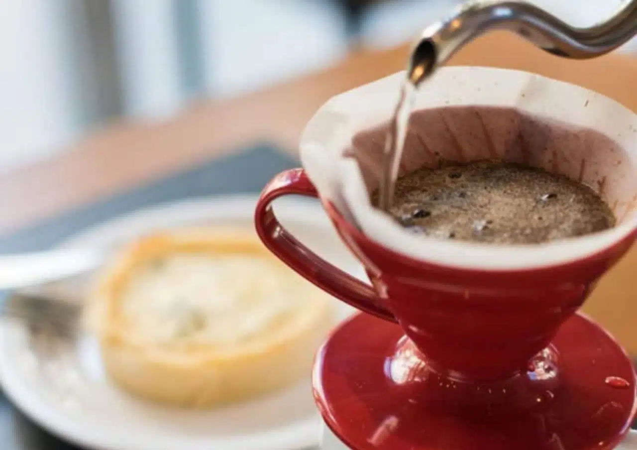 Sterna Café tem Festival de Métodos de Extração