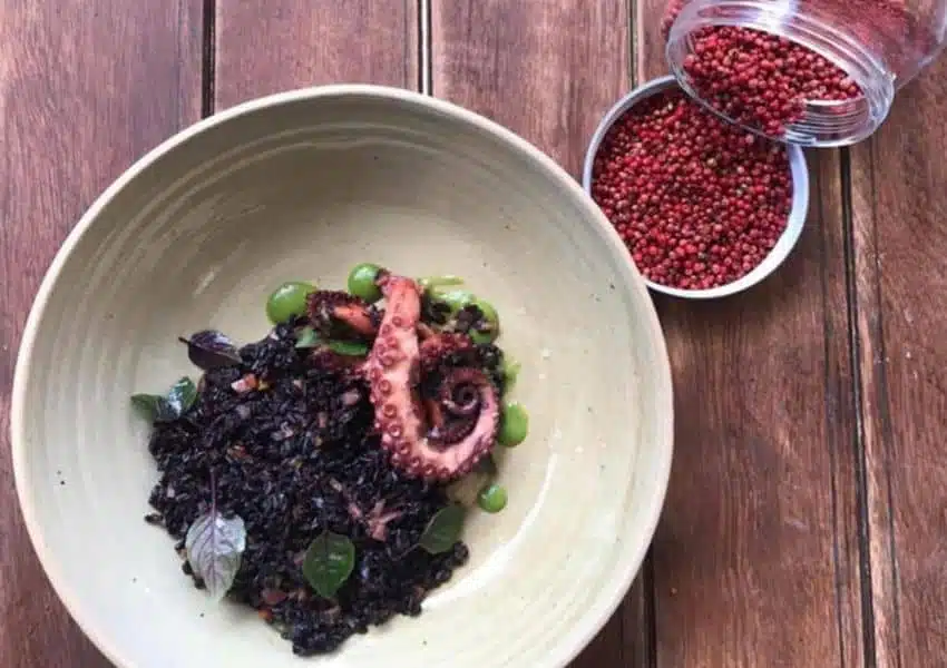 Bla's Cozinha de Culturas: gastronomia criativa e harmonizações na 406 Norte Festival La Playa no Bla’s celebra frutos do mar em Brasília