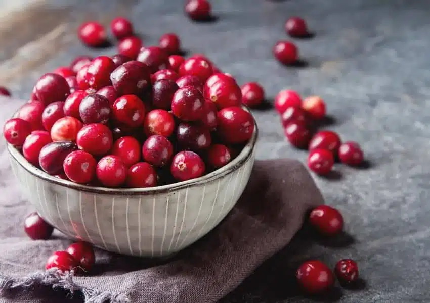 Alimentos indicados no tratamento de infecções urinárias