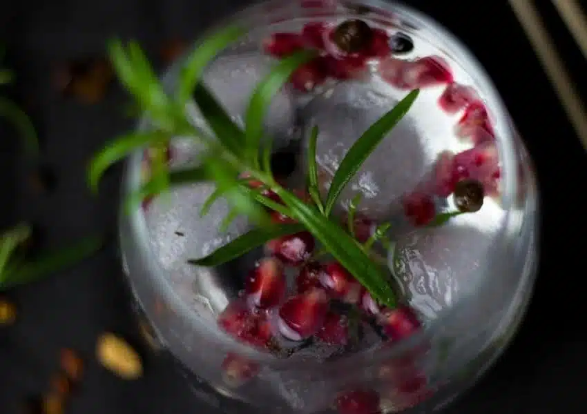 Southside: gastrobar de cozinha contemporânea na Asa Sul de Brasília Southside lança coquetel personalizado com gin