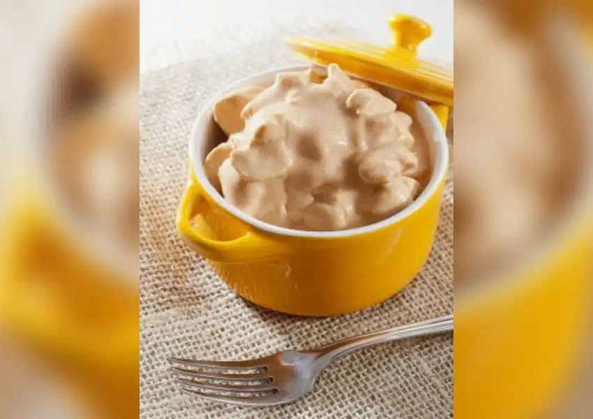 Strogonoff de frango cremoso servido em tigela branca com arroz e batata palha ao lado