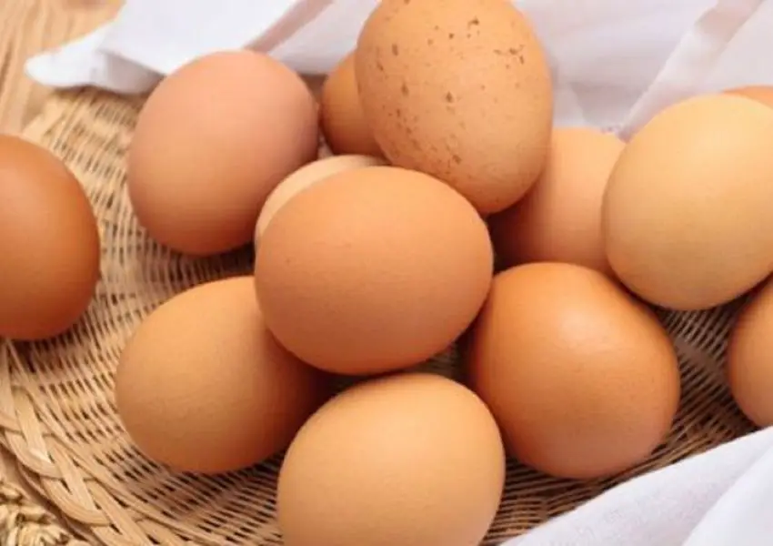 16 Mitos e Verdades sobre o consumo de ovo - 3 Talheres