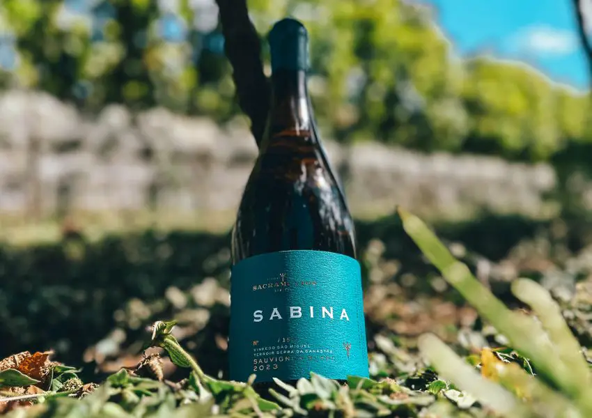 Sacramentos Vinifer lanca Sabina Sauvignon Blanc