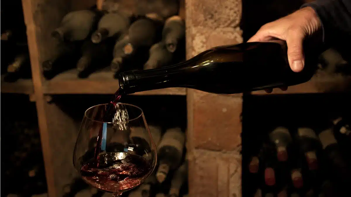 Por Que Alguns Vinhos São Tão Caros